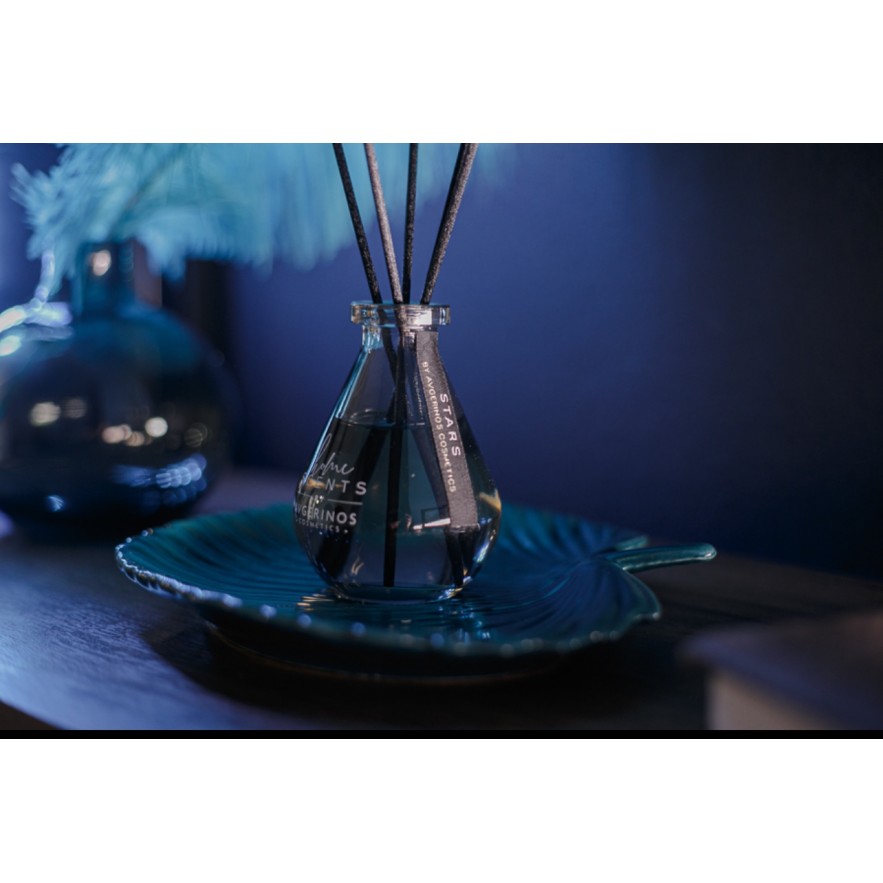 AVGERINOS > STARS HOME STICKS